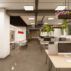 01 175 27 10 2020 - cimex var G 01 -_03 - Foto